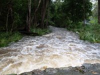 Rocksberg - Caboolture River Floods